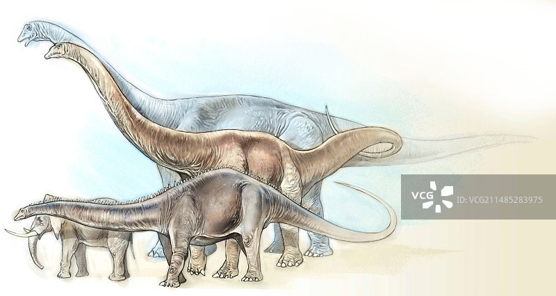 蜥脚类恐龙图片素材