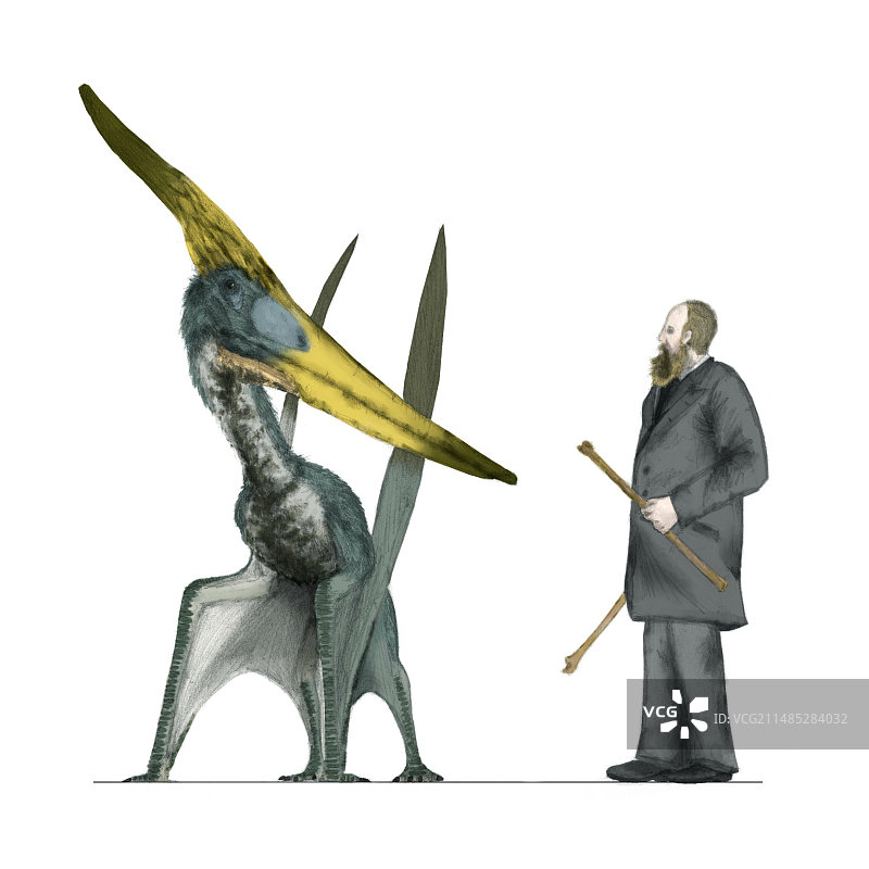 翼龙与人类图片素材