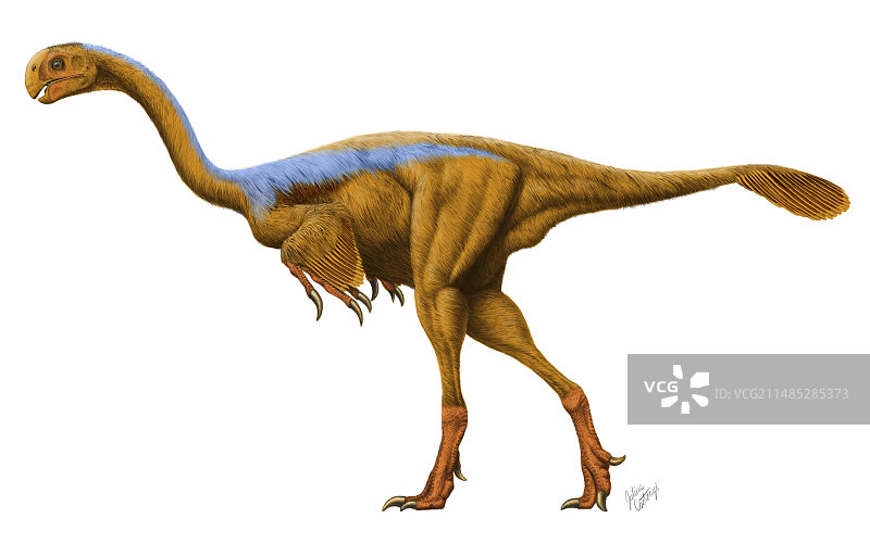 巨盗龙图片素材