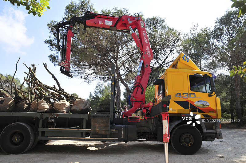 植树造林图片素材