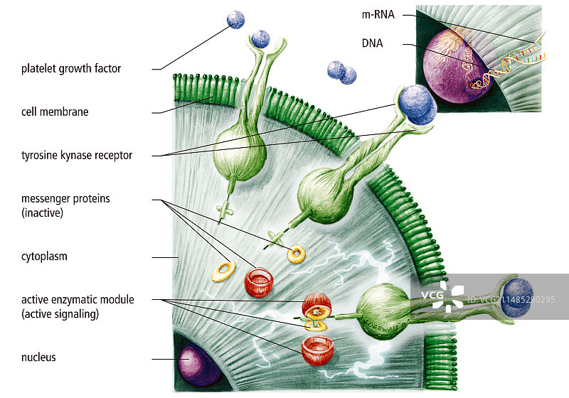 伤口护理凝胶疗法，艺术作品图片素材