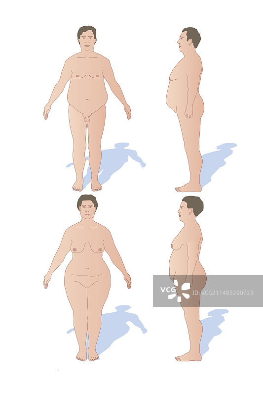 身体形状艺术作品图片素材