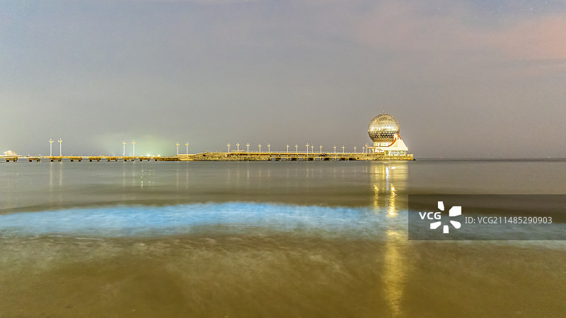 山东省烟台市莱山区黄海明珠海滩蓝眼泪希氏弯喉海萤荧光夜景城市自然风光图片素材