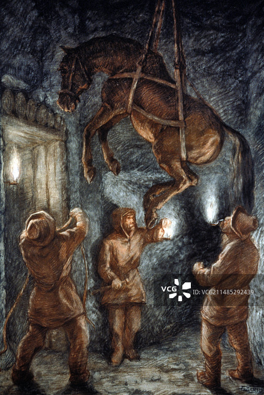 维利奇卡盐矿的矿马图片素材