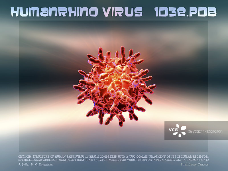 鼻病毒颗粒艺术图图片素材