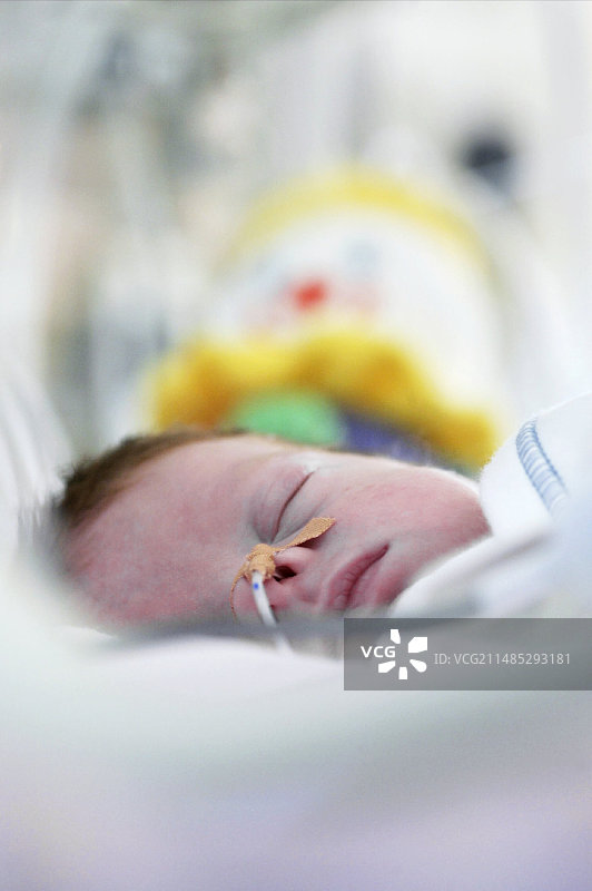早产儿图片素材
