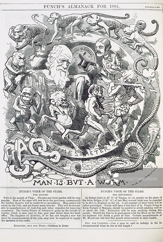 《笨拙》杂志上的达尔文讽刺画图片素材