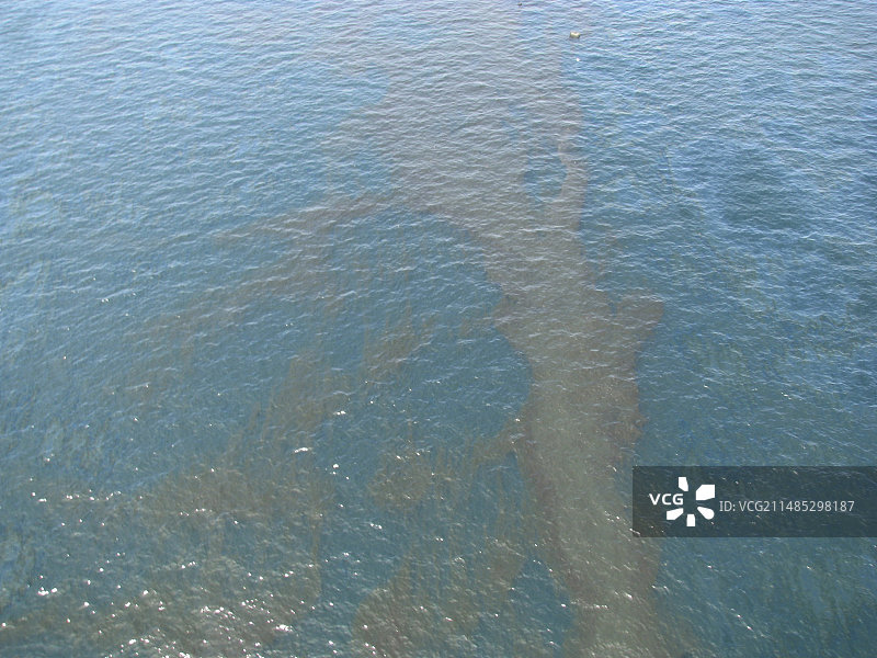 2010年墨西哥湾漏油事件图片素材