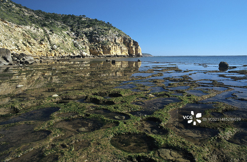 马达加斯加潮间带陆架图片素材