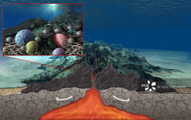 深海细菌艺术作品图片素材