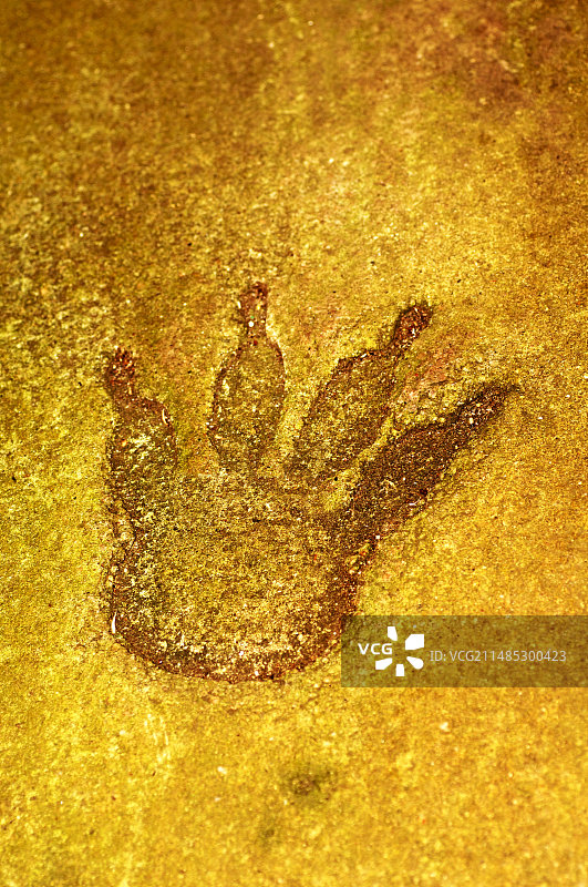 恐龙化石足迹图片素材