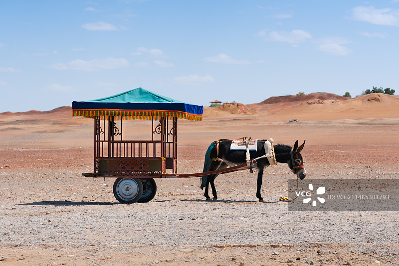 荒漠上的驴车图片素材