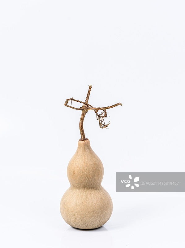 白底拍摄的葫芦图片素材