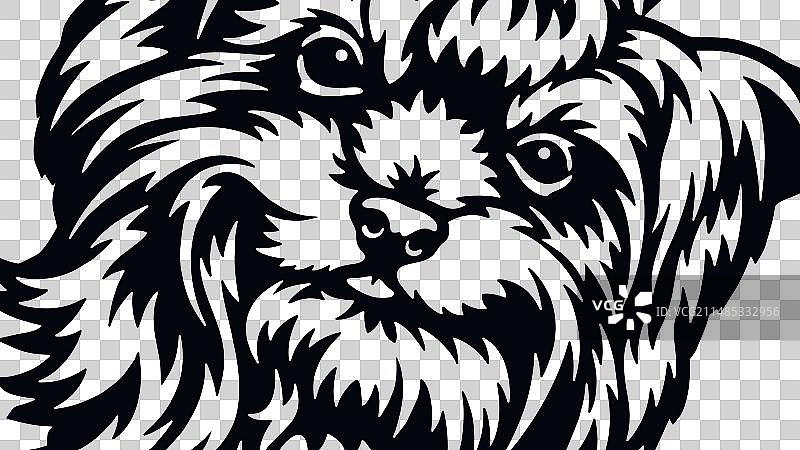 约克夏梗犬：偷看的彩色小狗图片素材