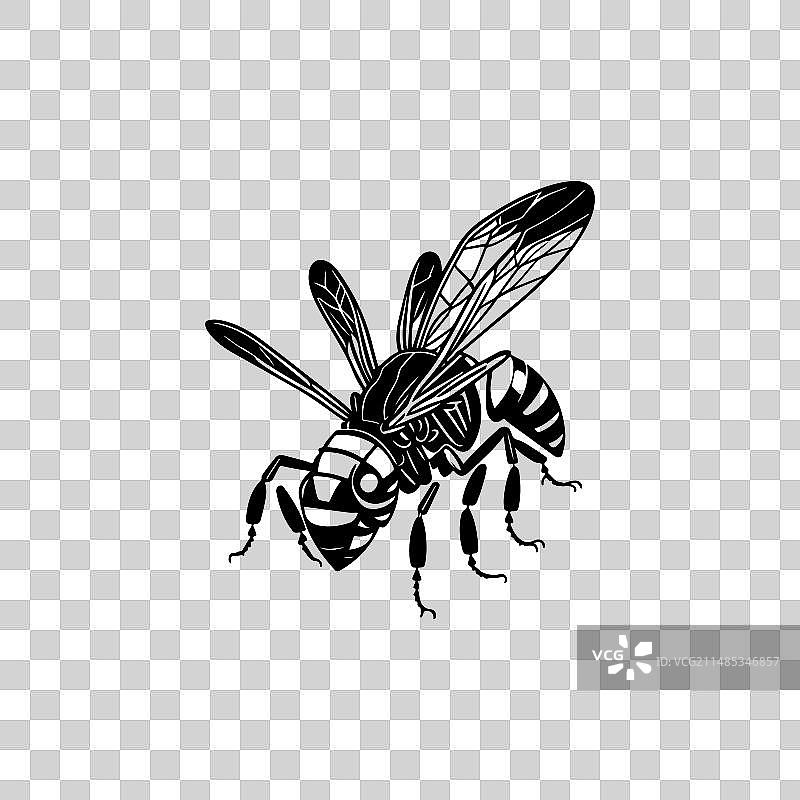 手绘黑色飞行动物黄蜂图标图片素材