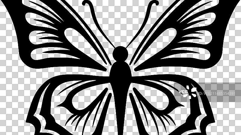 蝴蝶-黑白孤立的图标图片素材