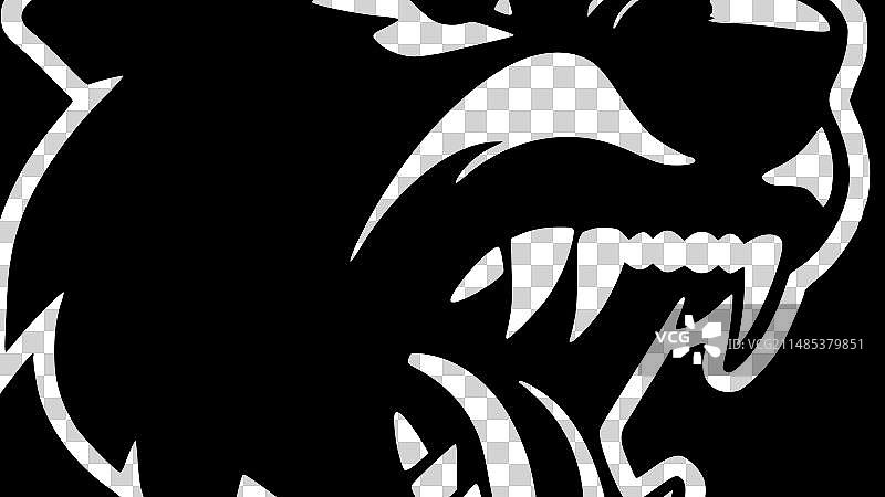 狗——黑白相间图片素材