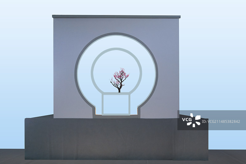 造型艺术，梅花，盆景图片素材