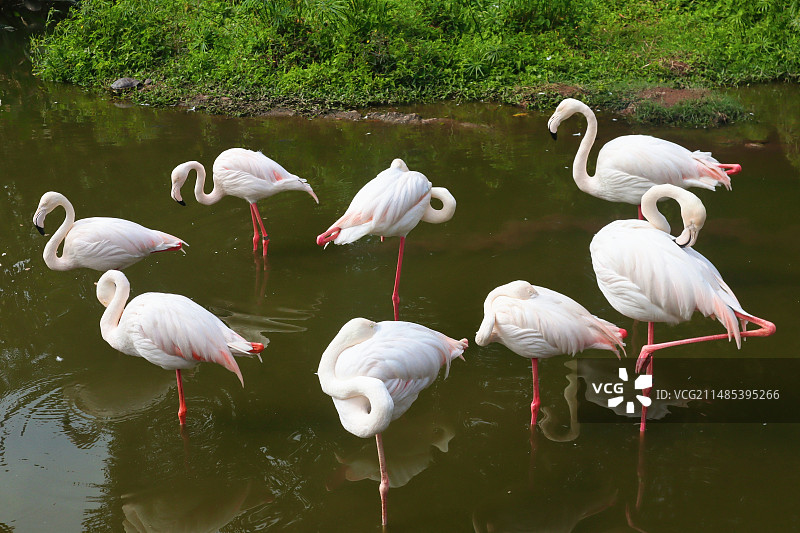 广州动物园图片素材