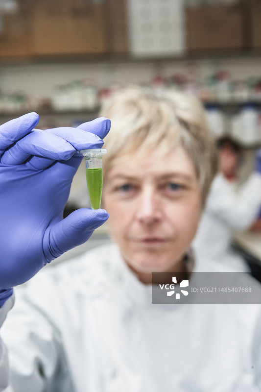 植物研究图片素材