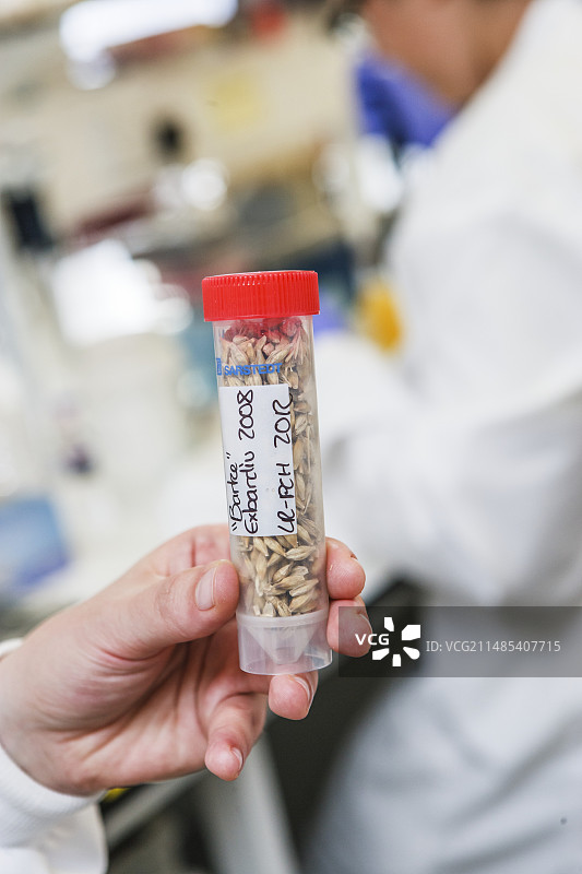 耕地种子研究图片素材