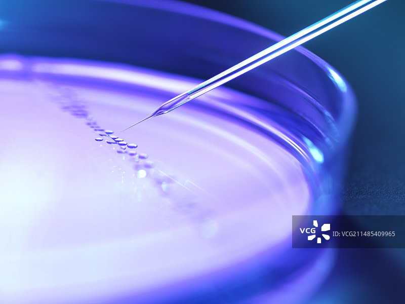 干细胞研究图片素材