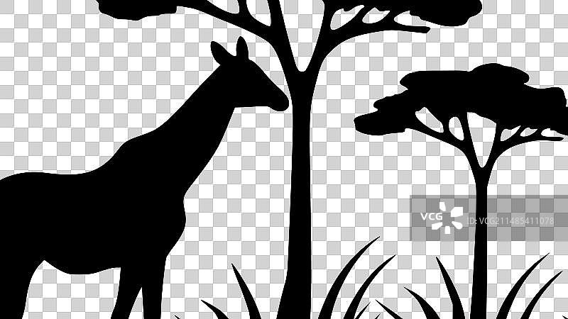 非洲高品质logo设计，适用于T恤图片素材