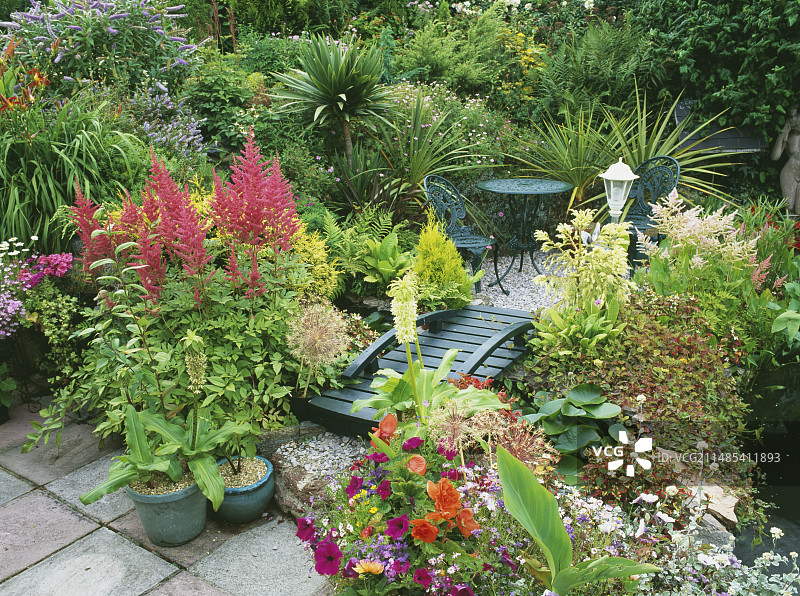 小型异国情调花园图片素材