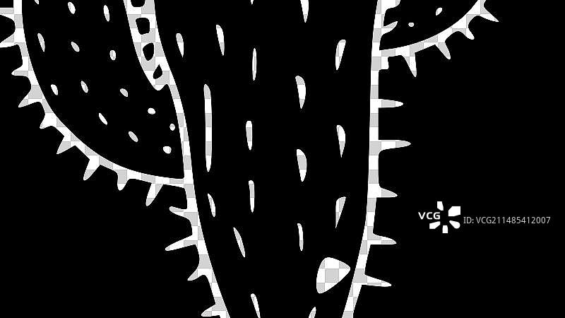 极简扁平风格仙人掌标志图片素材