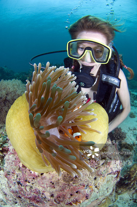 与海葵鱼一起潜水的女人图片素材