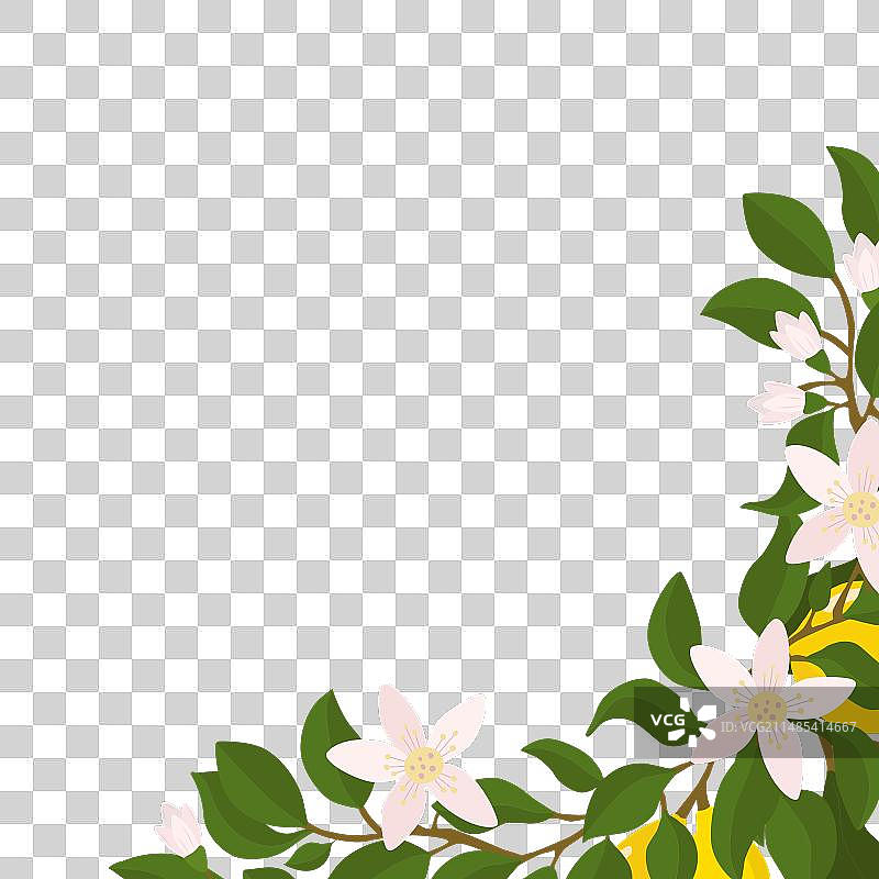 柠檬枝与柠檬边角装饰图片素材