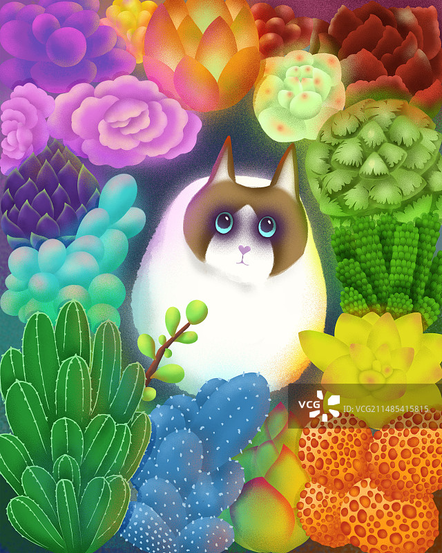 猫咪和多肉植物图片素材