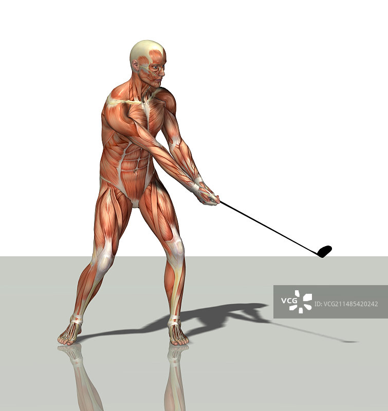 男性肌肉，艺术作品图片素材