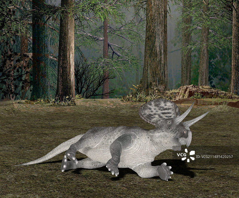 角龙艺术作品图片素材