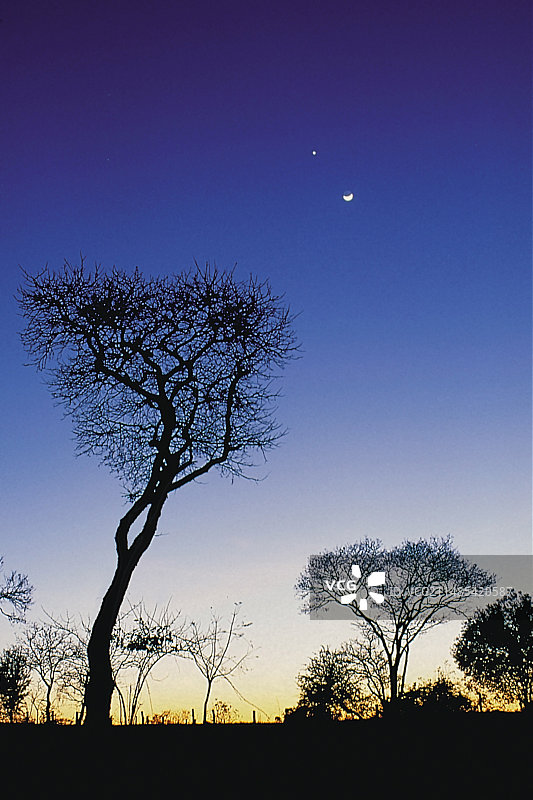 赞比亚赞比西河岸图片素材