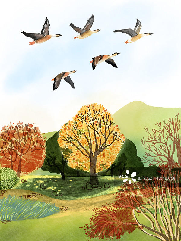 秋天大雁南飞原创插画图片素材