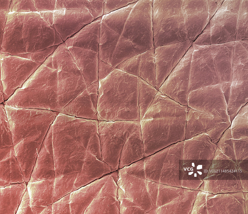 皮肤表面扫描电镜图图片素材