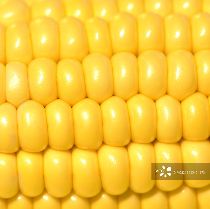 甜玉米图片素材