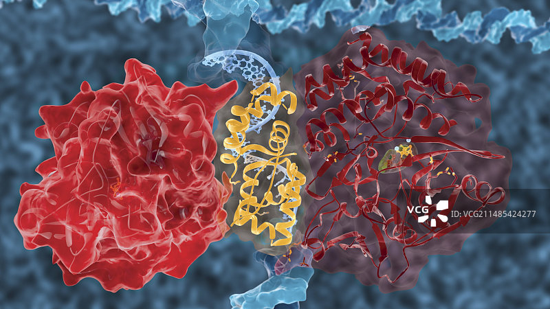 预防细菌休眠，艺术作品图片素材