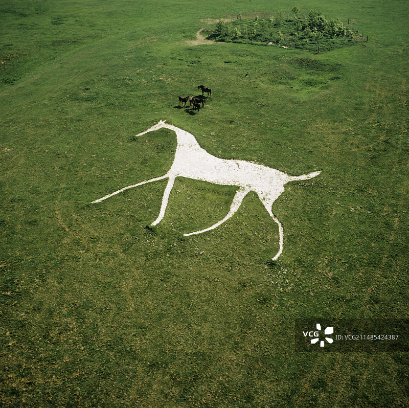 哈克 pen 白马图片素材