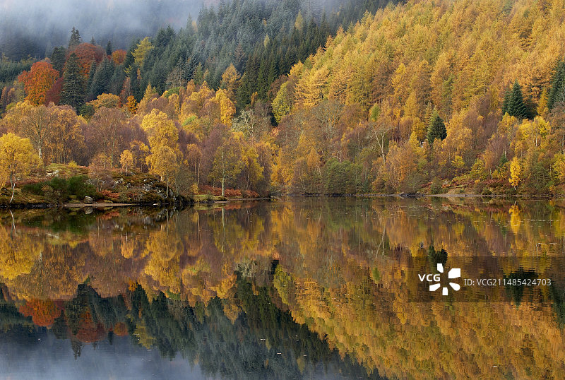 湖中秋色倒影图片素材