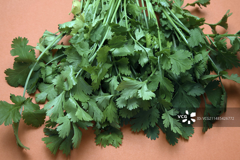 香菜图片素材