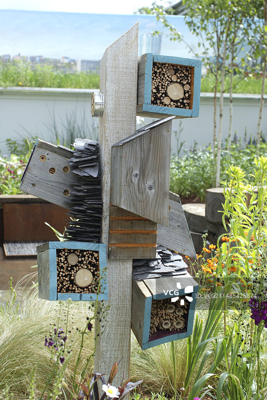 昆虫屋图片素材