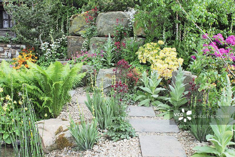 岩石花园图片素材