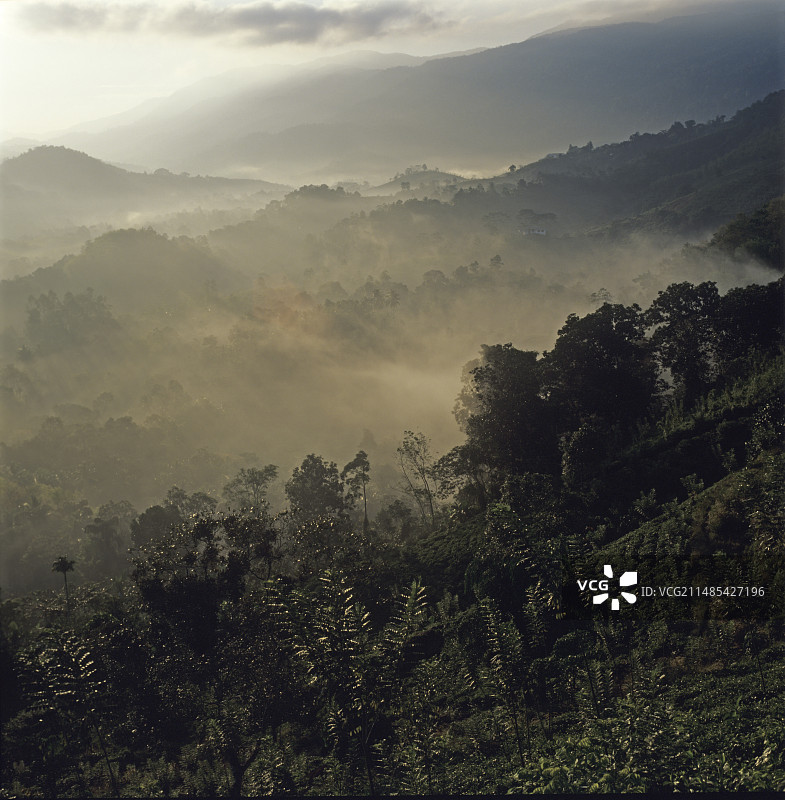 清晨的雾图片素材