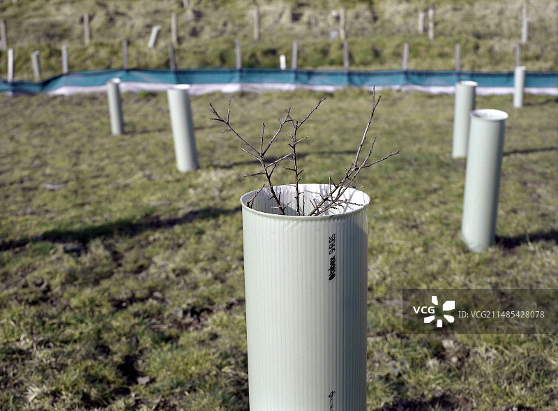 土地修复图片素材