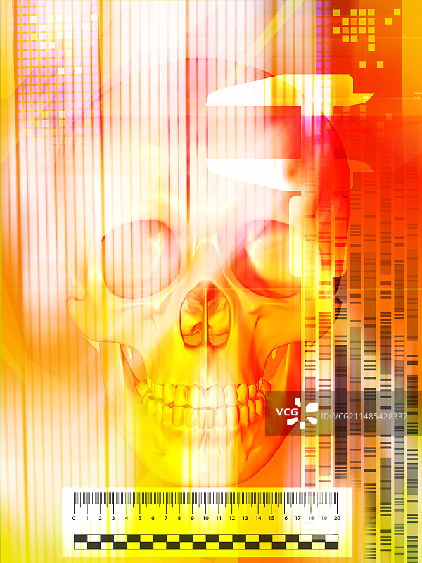 法医学图片素材