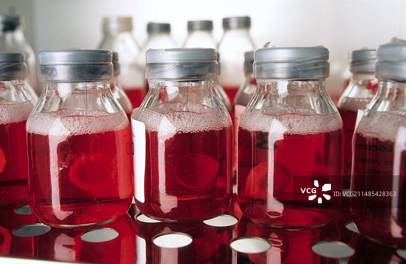 收获的人眼角膜图片素材