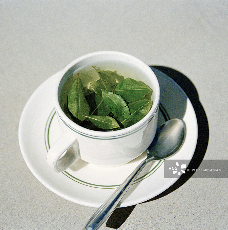 古柯叶茶图片素材