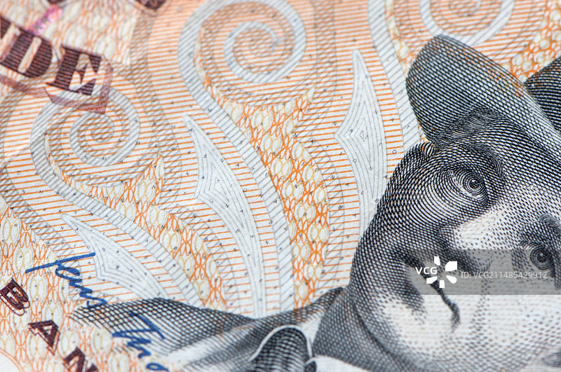 丹麦纸币图片素材